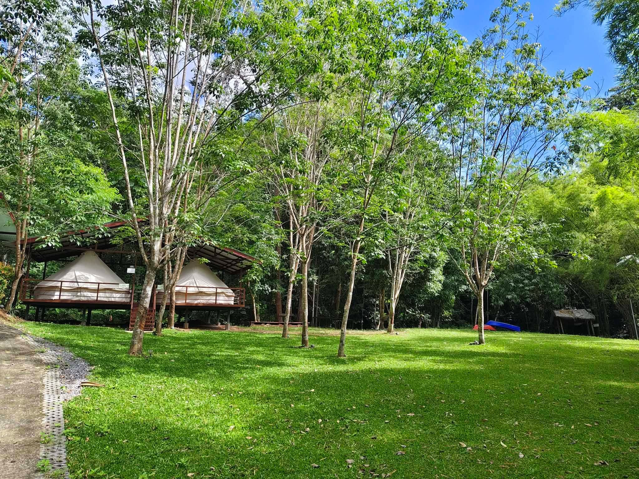 ลานหญ้าและเต็นท์กระโจมท่ามกลางต้นไม้ที่ MY DREAM Camping